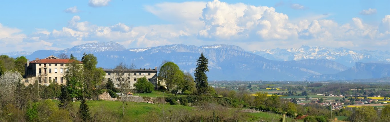 vue générale